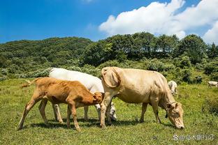 手感冰凉！利拉德打满首节6中0一分未得